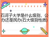 石河子大学是什么级别，公办还是民办(石大级别性质)