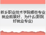 新乡职业技术学院哪些专业就业前景好，为什么(职院好就业专业)