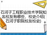 石河子工程职业技术学院知名校友有哪些，校史介绍(石河子职院校友校史)