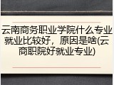 云南商务职业学院什么专业就业比较好，原因是啥(云商职院好就业专业)