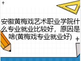 安徽黄梅戏艺术职业学院什么专业就业比较好，原因是啥(黄梅戏专业就业好)