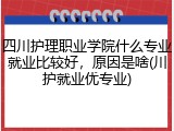 四川护理职业学院什么专业就业比较好，原因是啥(川护就业优专业)