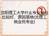 沈阳理工大学什么专业就业比较好，原因是啥(沈理工就业优专业)