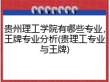 贵州理工学院有哪些专业，王牌专业分析(贵理工专业与王牌)