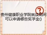 贵州健康职业学院就读期间可以申请哪些奖学金()