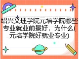 绍兴文理学院元培学院哪些专业就业前景好，为什么(元培学院好就业专业)