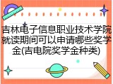 吉林电子信息职业技术学院就读期间可以申请哪些奖学金(吉电院奖学金种类)