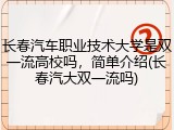 长春汽车职业技术大学是双一流高校吗，简单介绍(长春汽大双一流吗)