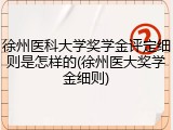 徐州医科大学奖学金评定细则是怎样的(徐州医大奖学金细则)