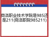 商洛职业技术学院是985还是211(商洛职院985211)