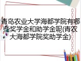青岛农业大学海都学院有哪些奖学金和助学金呢(青农大海都学院奖助学金)