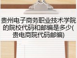 贵州电子商务职业技术学院的院校代码和邮编是多少(贵电商院代码邮编)