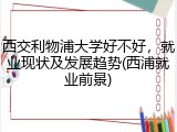 西交利物浦大学好不好，就业现状及发展趋势(西浦就业前景)