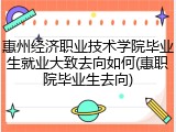 惠州经济职业技术学院毕业生就业大致去向如何(惠职院毕业生去向)