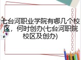 七台河职业学院有哪几个校区，何时创办(七台河职院校区及创办)