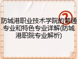 防城港职业技术学院的普通专业和特色专业详解(防城港职院专业解析)