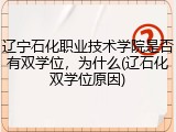 辽宁石化职业技术学院是否有双学位，为什么(辽石化双学位原因)