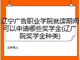 辽宁广告职业学院就读期间可以申请哪些奖学金(辽广院奖学金种类)