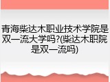 青海柴达木职业技术学院是双一流大学吗?(柴达木职院是双一流吗)
