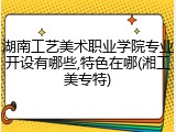 湖南工艺美术职业学院专业开设有哪些,特色在哪(湘工美专特)