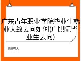 广东青年职业学院毕业生就业大致去向如何(广职院毕业生去向)