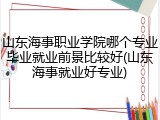 山东海事职业学院哪个专业毕业就业前景比较好(山东海事就业好专业)