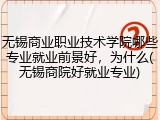 无锡商业职业技术学院哪些专业就业前景好，为什么(无锡商院好就业专业)