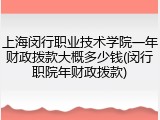 上海闵行职业技术学院一年财政拨款大概多少钱(闵行职院年财政拨款)