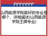 山西能源学院最好的专业是哪个，详细阐述(山西能源学院王牌专业)