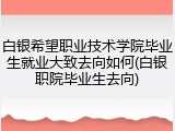 白银希望职业技术学院毕业生就业大致去向如何(白银职院毕业生去向)