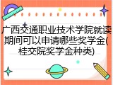广西交通职业技术学院就读期间可以申请哪些奖学金(桂交院奖学金种类)