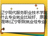 辽宁现代服务职业技术学院什么专业就业比较好，原因是啥(辽宁职院就业佳专业)