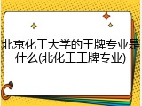 北京化工大学的王牌专业是什么(北化工王牌专业)
