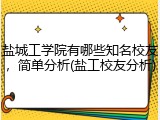 盐城工学院有哪些知名校友，简单分析(盐工校友分析)