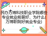 民办万博科技职业学院哪些专业就业前景好，为什么(万博职院好就业专业)