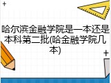 哈尔滨金融学院是一本还是本科第二批(哈金融学院几本)