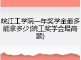 皖江工学院一年奖学金最多能拿多少(皖工奖学金最高额)