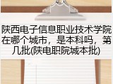 陕西电子信息职业技术学院在哪个城市，是本科吗，第几批(陕电职院城本批)