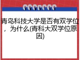 青岛科技大学是否有双学位，为什么(青科大双学位原因)