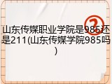 山东传媒职业学院是985还是211(山东传媒学院985吗)