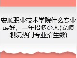 安顺职业技术学院什么专业最好，一年招多少人(安顺职院热门专业招生数)