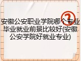 安徽公安职业学院哪个专业毕业就业前景比较好(安徽公安学院好就业专业)