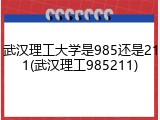 武汉理工大学是985还是211(武汉理工985211)