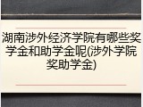 湖南涉外经济学院有哪些奖学金和助学金呢(涉外学院奖助学金)