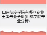 山东航空学院有哪些专业，王牌专业分析(山航学院专业分析)