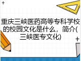 重庆三峡医药高等专科学校的校园文化是什么，简介(三峡医专文化)