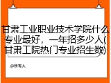甘肃工业职业技术学院什么专业最好，一年招多少人(甘肃工院热门专业招生数)