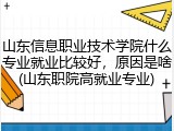 山东信息职业技术学院什么专业就业比较好，原因是啥(山东职院高就业专业)