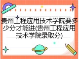 贵州工程应用技术学院要多少分才能进(贵州工程应用技术学院录取分)