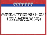 西安美术学院是985还是211(西安美院是985吗)